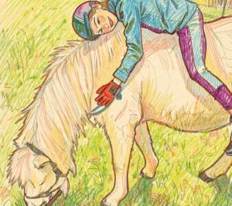 Yoga für Reiter/innen – Die perfekte Symbiose von Reiten und Yoga